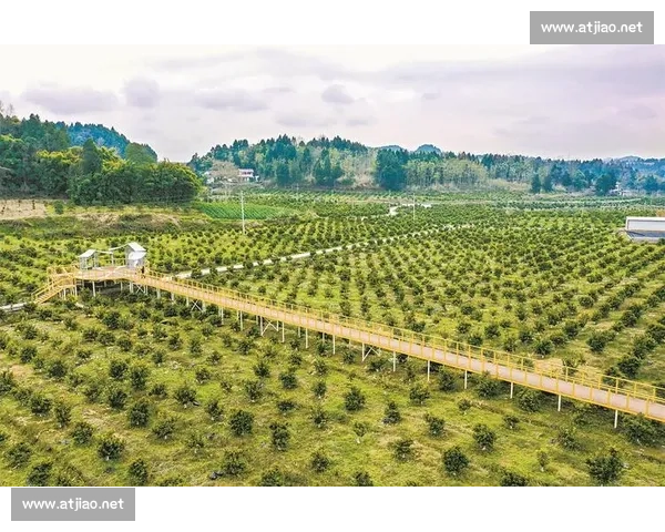 以生态系统整体完善为核心推动高质量绿色可持续发展新格局建设